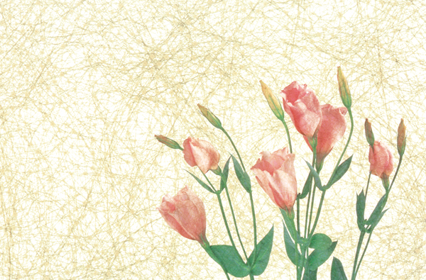 FLOWER ROSE`FR 62